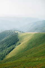 Fototapeta premium ukrainian carpathian mountains. Beautiful mountain landscape.