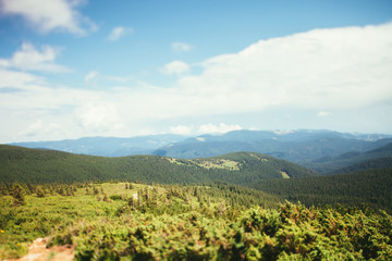 ukrainian carpathian mountains. Beautiful mountain landscape.