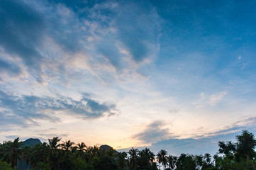 Sunrise over Palm Tree