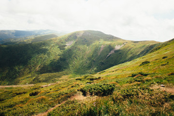 Naklejka premium ukrainian carpathian mountains. Beautiful mountain landscape.