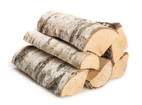 Birch firewood isolated