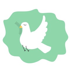 A symbol of peace. White dove and olive branch. Vector.