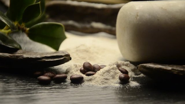 イナゴマメ Ceratonia siliqua Ceratonia Carob Carruba Ph&acirc;n loại Farina khoa học Algarrobas Цератония 长角豆属 Johannesbr&ouml;dssl&auml;ktet سرده Rohovn&iacute;k خرنوب Harina Carrube Algarroba Flour 