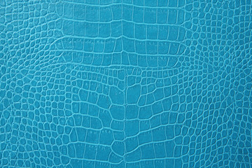 Blue crocodile leather texture