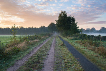 Fototapeta na wymiar Path and track in misty countryside landscape. Noordijkerveld. A