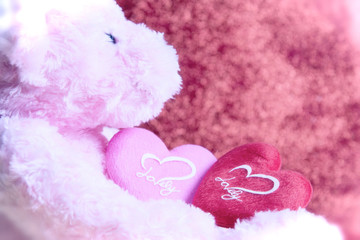 teddy Bear with Heart on red background,concept valentine