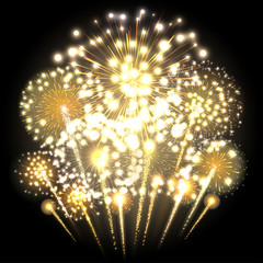 Big Bright fireworks. Festive lights. Vector illustration.