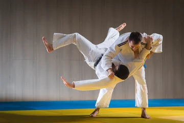 Tuinposter Judo training in the sports hall © Dusan Kostic