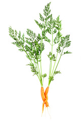 Embrace of love couple carrots
