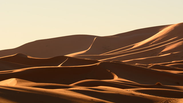 Desert