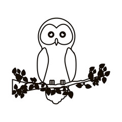 Owl cartoon icon. Bird animal and nature theme. Isolated design. Vector illustration
