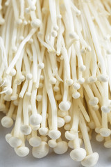 Fresh Enoki mushroom isolate on white background in Close-up shot