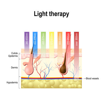 laser therapy.  Depth of penetration by wave light