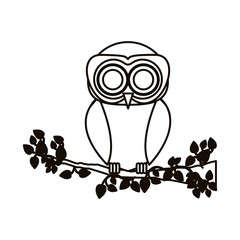 Obraz premium Owl cartoon icon. Bird animal and nature theme. Isolated design. Vector illustration