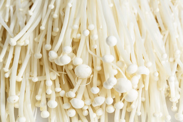 Fresh Enoki mushroom isolate on white background in Close-up shot