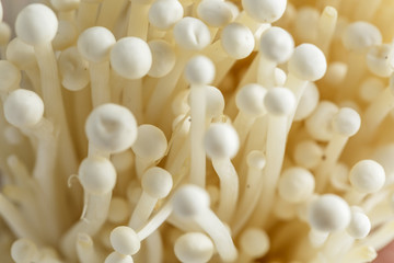 Fototapeta na wymiar Fresh Enoki mushroom isolate on white background in Close-up shot