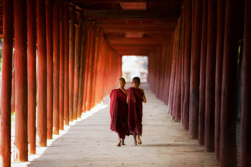 Young Buddhist monk walking and reading