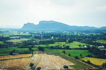 fresh green landscape mountain in Chiang Mai northen in thailand