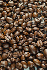 Coffebeans on Neutral Gray Background. Dark Roast Coffee.