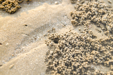 Fototapeta na wymiar Yellow sand texture. Sand and light.