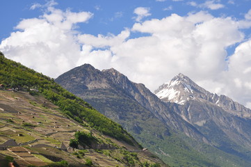 Fototapeta premium Alps