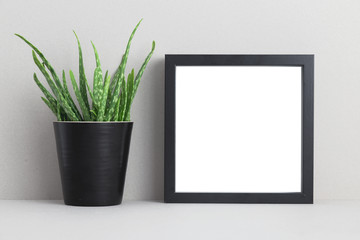 mock up photo frame with aloe vera plant on shelf