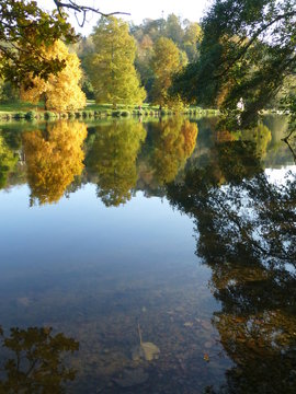 Reflections of trees and submerged leaf in the River Thames near Cookham, Berkshire