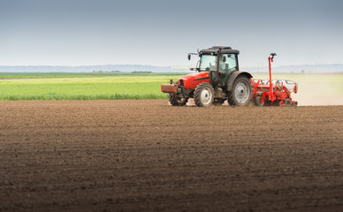 Obraz premium seeding crops at field