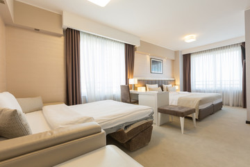 Modern spacious hotel room