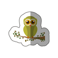 Owl cartoon icon. Bird animal and nature theme. Isolated design. Vector illustration