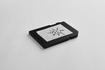Fototapeta premium Suspicious Memory Card