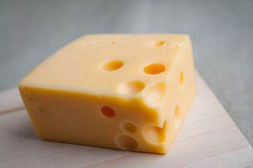 A square piece of maasdam cheese with holes served in rustic style on a wooden board. Close up. Eco food, meal, lunch concept