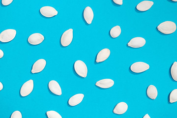 White pumpkin seeds flat lay