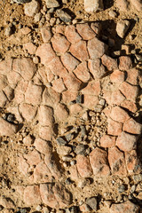 Stone background, Negev Desert, Israel