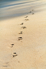 Footprints in the sand of the sea.