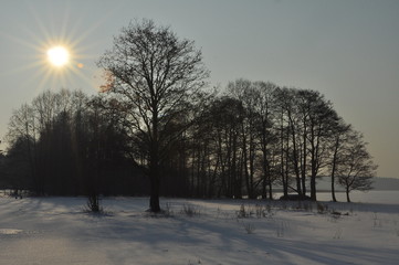 Polska - Mazury - Olsztyn