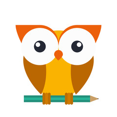 Owl cartoon icon. Bird animal and nature theme. Isolated design. Vector illustration