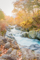 watercourse at nikko, japan sunset