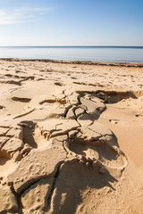A beautiful landscape of dunes on the coastline of Baltic sea