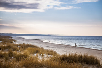 A beautiful landscape of dunes on the coastline of Baltic sea