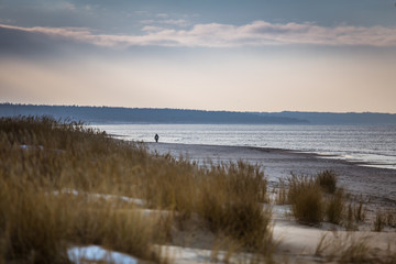 A beautiful landscape of dunes on the coastline of Baltic sea