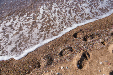 A beautiful landscape of dunes on the coastline of Baltic sea