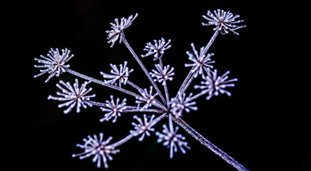 simulating fireworks