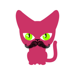 Cat hipster with mustache isolated. Pet on white background