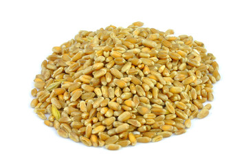 Wheat