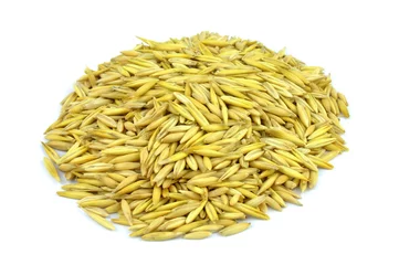 Fototapeten Oat grains © savanno