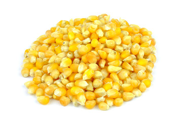 Corn grains