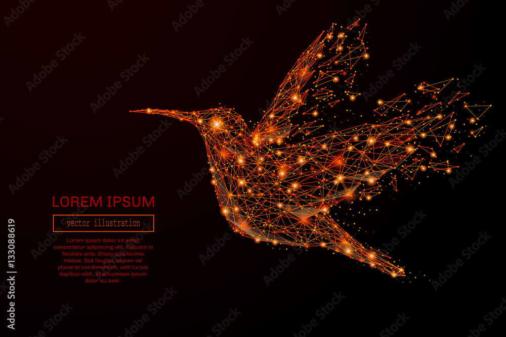 Aufkleber Abstract mash line and point colibri in flames style on dark background with an inscription. Business strategy of a starry sky or space, consisting of stars and the universe. Vector illustration