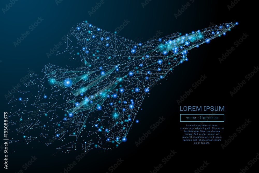 Leinwandbilder fighter jet in flight from abstract polygonal points blue. low poly fighter in motion, lines and con