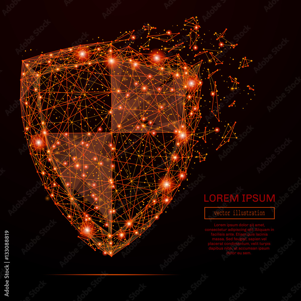 Fototapete abstract mash line and point shield in flames style on dark background with an inscription. business